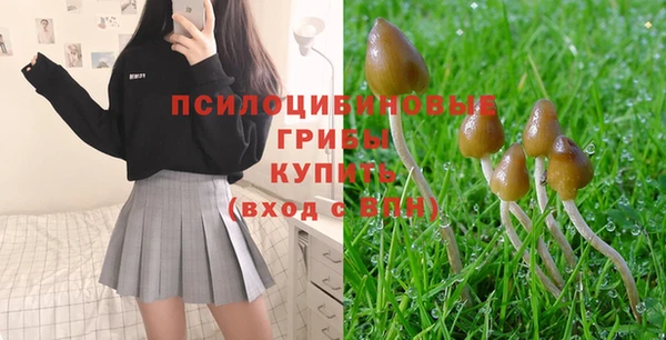 таблы Алзамай